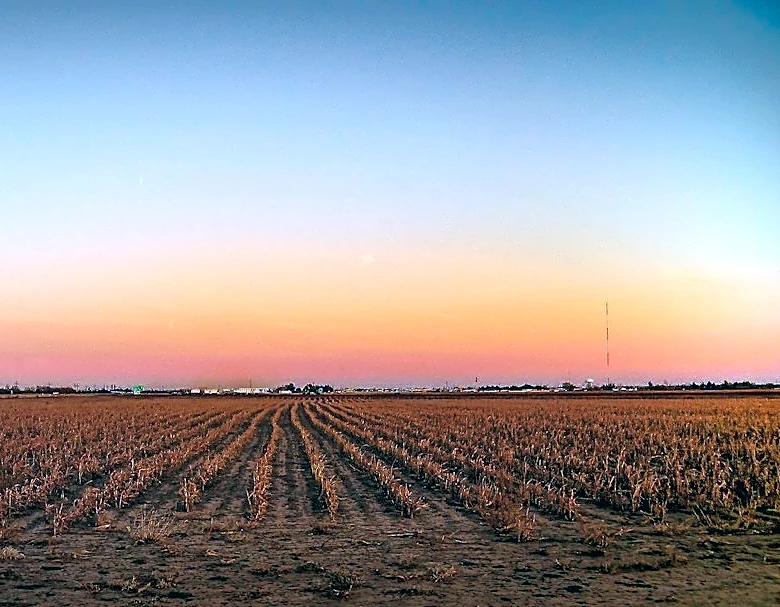 Cold Temperatures and Drought Impact U.S. Crops