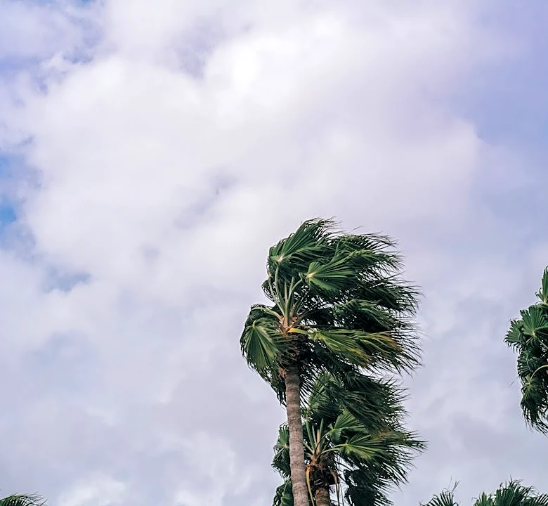 Hawai‘i Parks Close as Tropical Storm Nolo Approaches