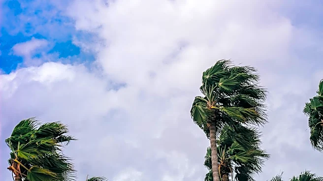 Hawai‘i Parks Close as Tropical Storm Nolo Approaches