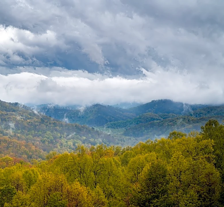Understanding Fall Foliage in the Great Smoky Mountains
