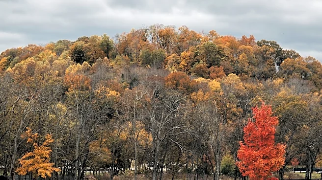 Tennessee Experiencing 'False Fall' After Heat Dome