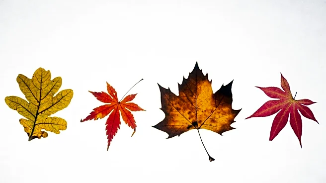 2026 Fall Foliage Peaks Begin Late September