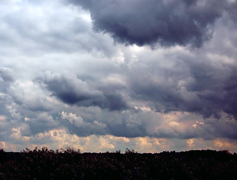 Fall-Like Weather Persists in Madison This Weekend