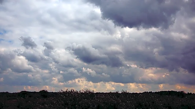 Fall-Like Weather Persists in Madison This Weekend