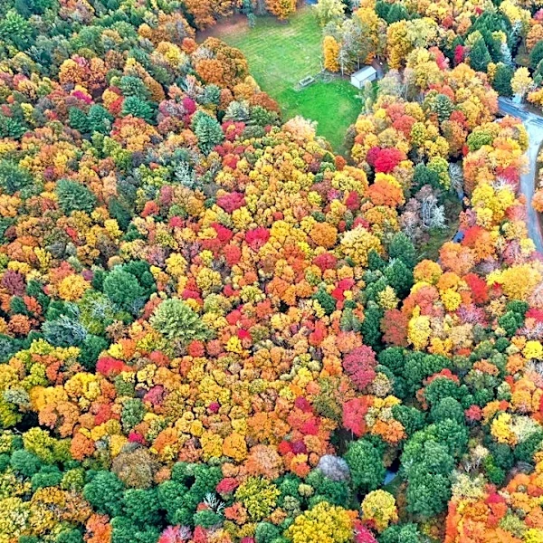 Rainy Start to Fall in York County, Events Continue