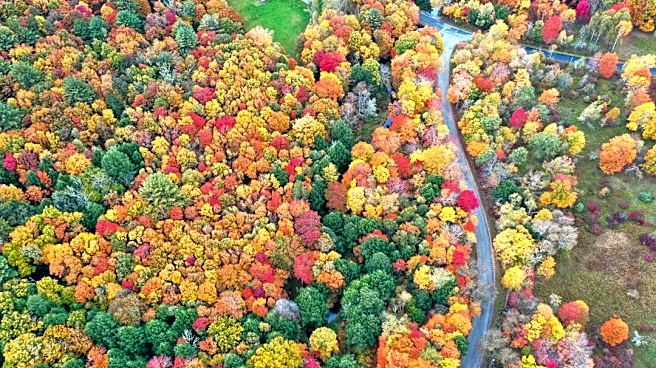 Rainy Start to Fall in York County, Events Continue