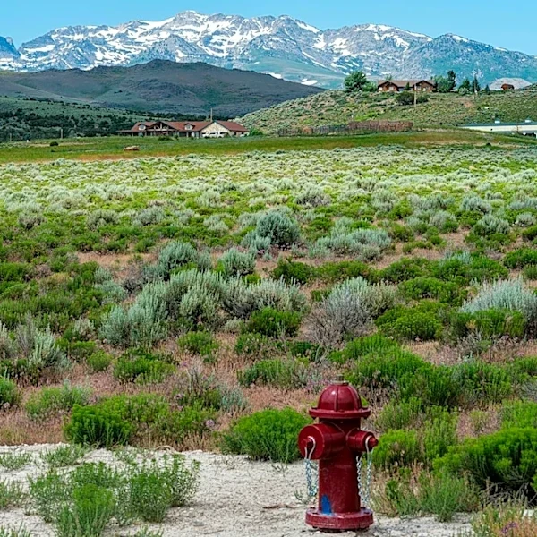 Red Flag Warning Issued for Northern Nevada