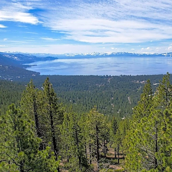 Nevada County Enhances Wildfire Evacuation Routes