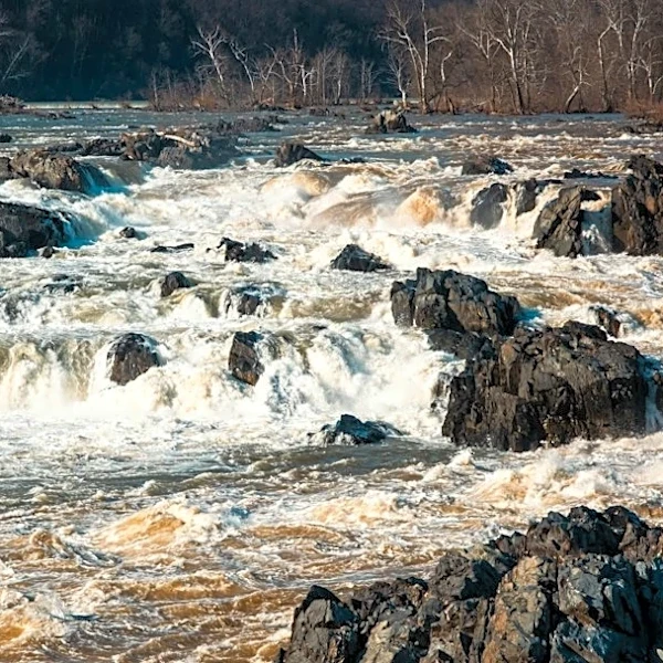 Nor’easter Brings Coastal Flooding to DC Area