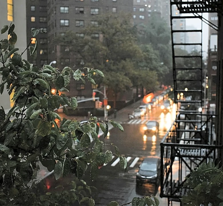 Cool, Rainy Weather Suppresses NYC Temps on Sep 26
