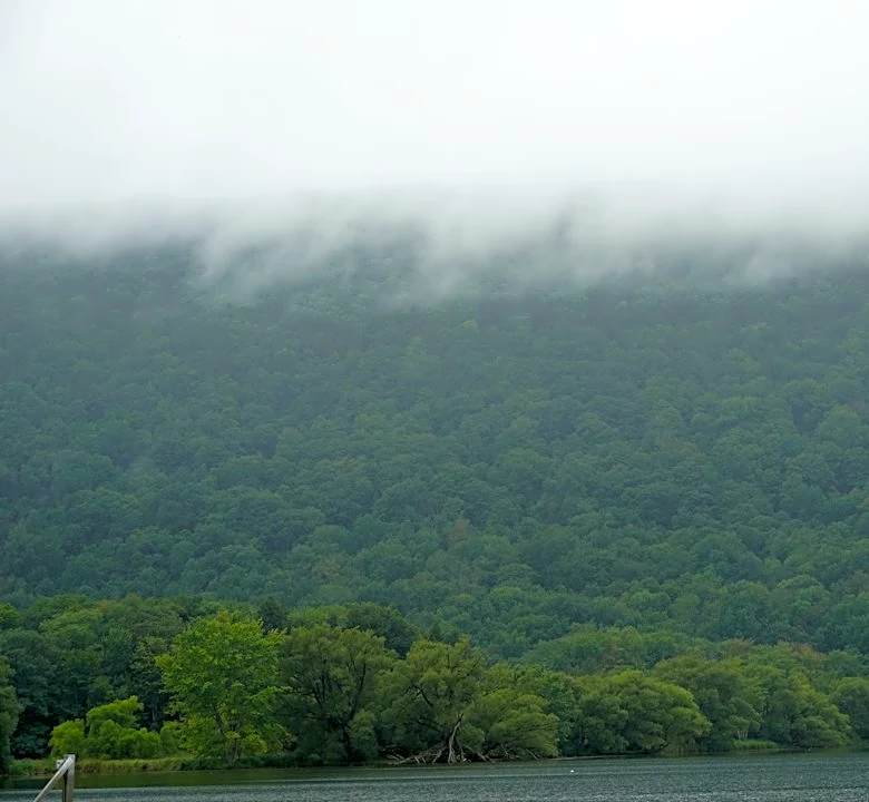 Sunny and Mild Weather for Finger Lakes Region
