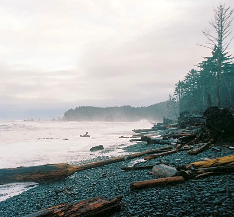 Recent Earthquakes Detected Across the Pacific Northwest