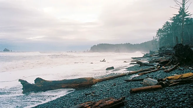 Recent Earthquakes Detected Across the Pacific Northwest