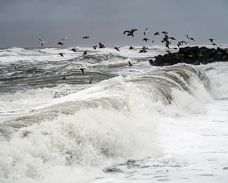 Zombie Storm Fay Comes Back to Life in the Atlantic
