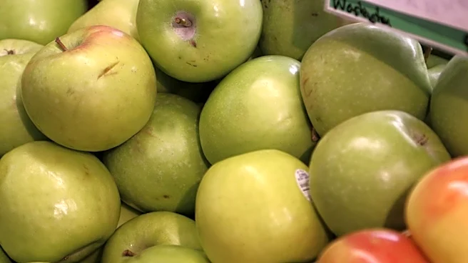 Weather Crucial for Vermont Apple Orchards' Success