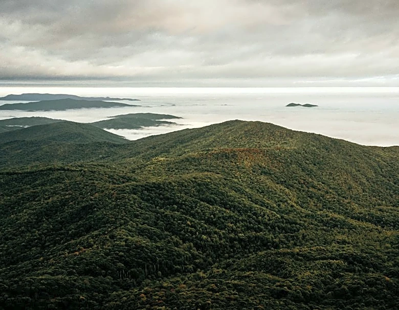 Cooler Nights and Rain Aid Fall Colors in Appalachia