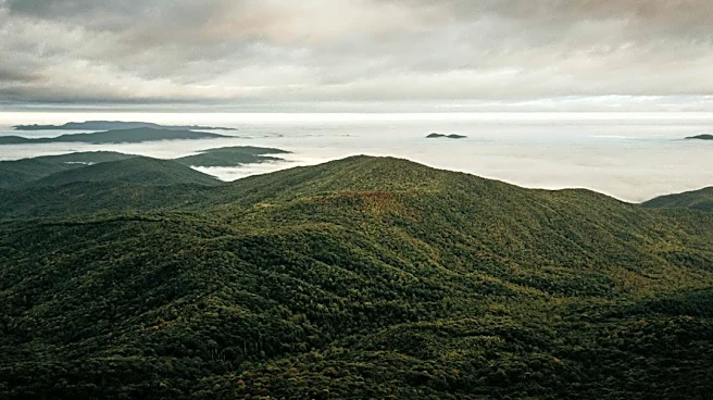 Cooler Nights and Rain Aid Fall Colors in Appalachia