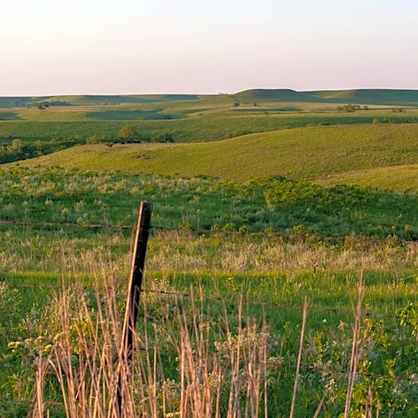 Kansas Hunting Weather: Key Updates for Deer Season