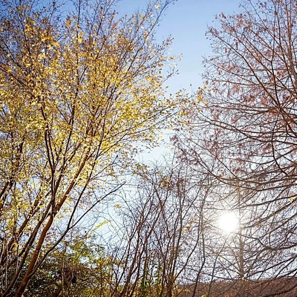 Sunny, Cool Weekend Ahead for Georgia