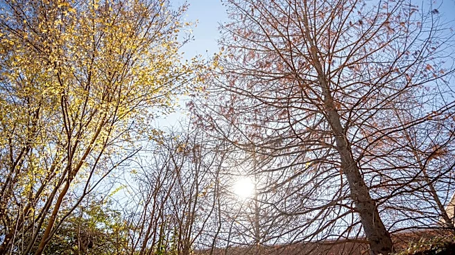 Sunny, Cool Weekend Ahead for Georgia