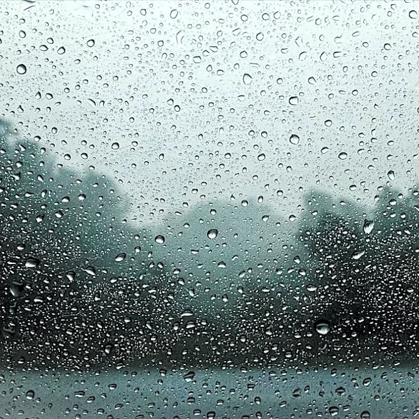 Foggy Morning and Rain Expected in Fargo