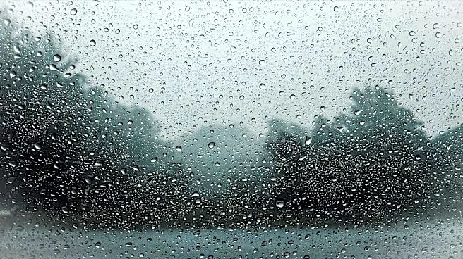 Foggy Morning and Rain Expected in Fargo