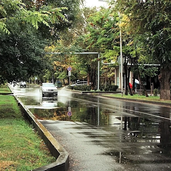 Stormwater Management: Preventing Floods & Pollution