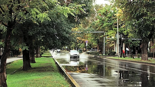 Stormwater Management: Preventing Floods & Pollution