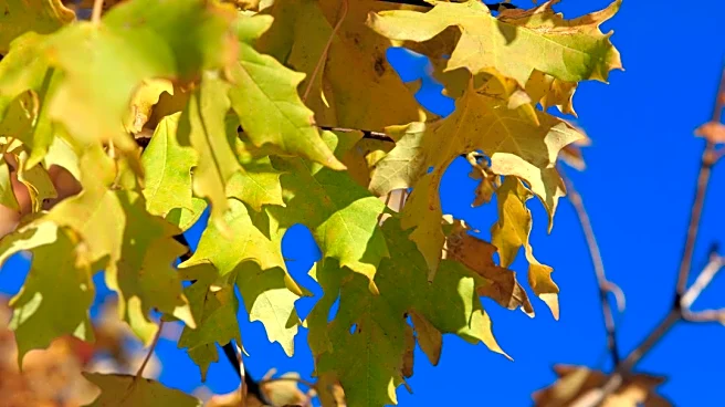 Warm Friday in Pocatello Before Cooler Weekend