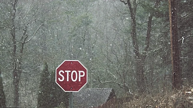 Storm Preparedness: Key Safety Tips to Follow