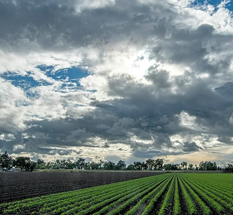 Super El Niño Predicted for Fall and Winter 2026