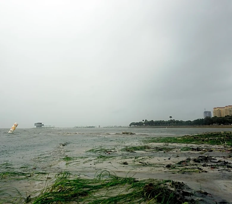 Calm Winds and Light Chop Expected in Tampa Bay Waters