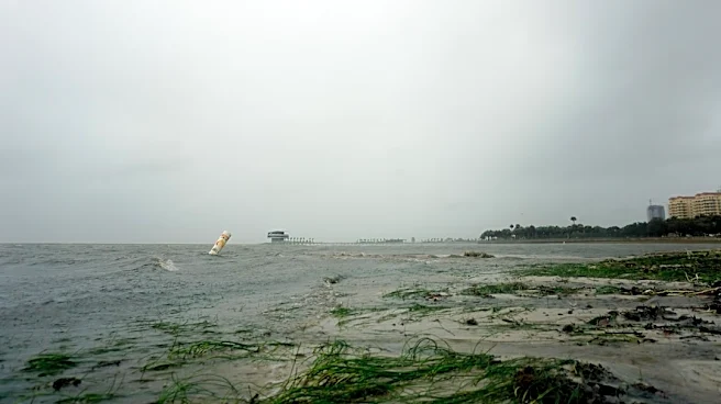 Calm Winds and Light Chop Expected in Tampa Bay Waters