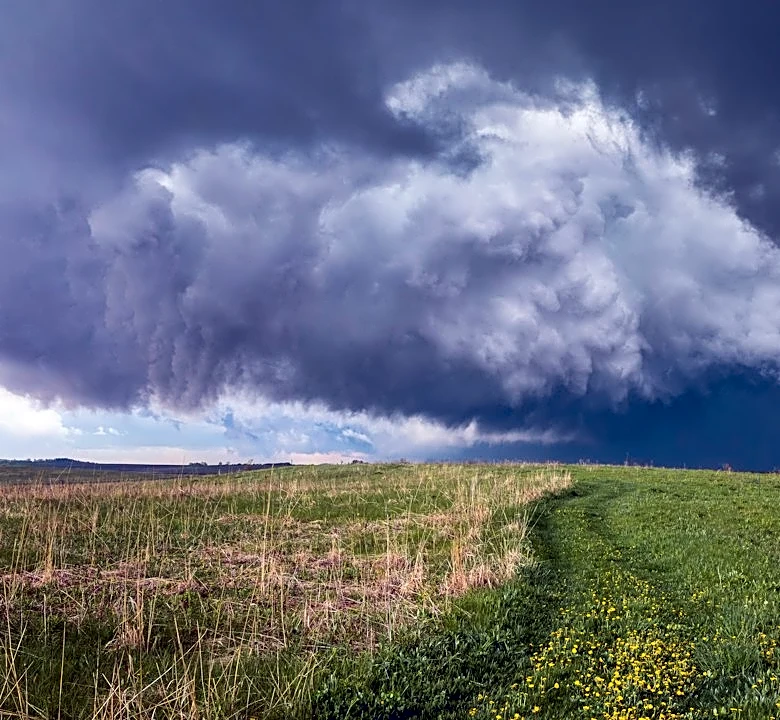 Rain Showers Expected in Madison Through Next Week