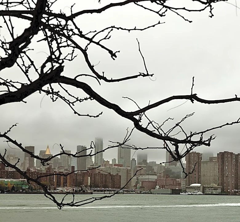 Man Killed by Falling Tree Amid NYC Nor’easter