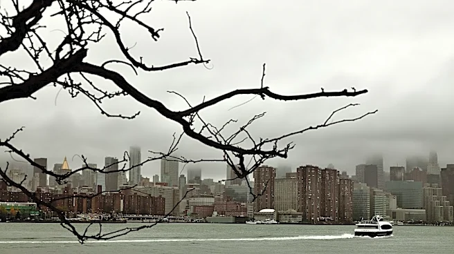 Man Killed by Falling Tree Amid NYC Nor’easter