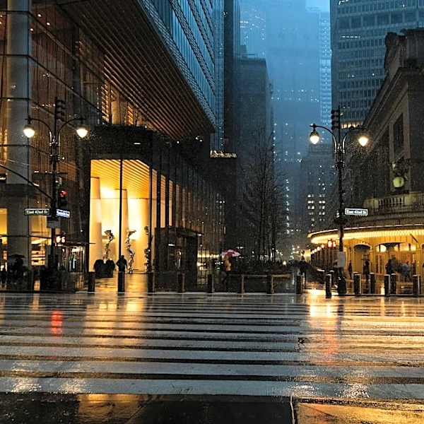 NYC Faces Cool, Rainy Day With Gusty Winds