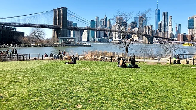 Nor'easter Causes Fatal Tree Fall in Brooklyn, New York