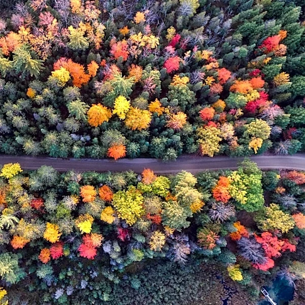 Michigan Fall Foliage Peaks Across Elevations