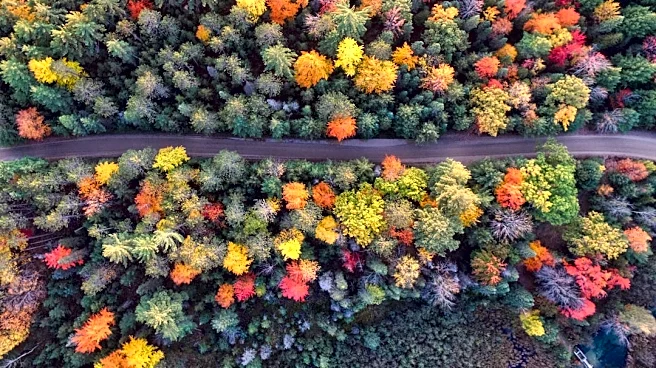 Michigan Fall Foliage Peaks Across Elevations
