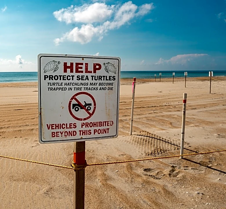 Hurricane Preparedness Events in North Carolina