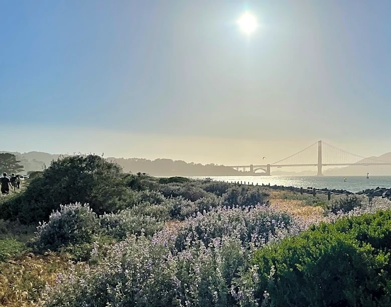 San Francisco High Near 70°F Expected on Sept. 28