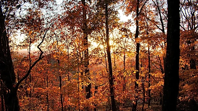 Cooler Fall Temperatures Arrive in Georgia This Week