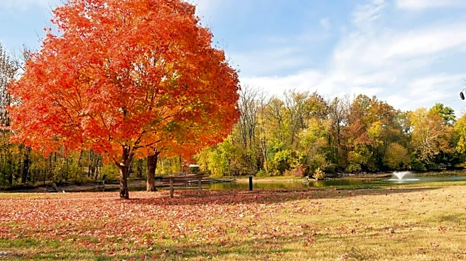 Cool, Calm Autumn Weather Persists in Columbus