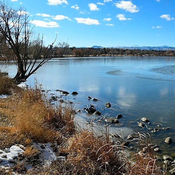 Denver Promotes Beaver Coexistence Amid Drought