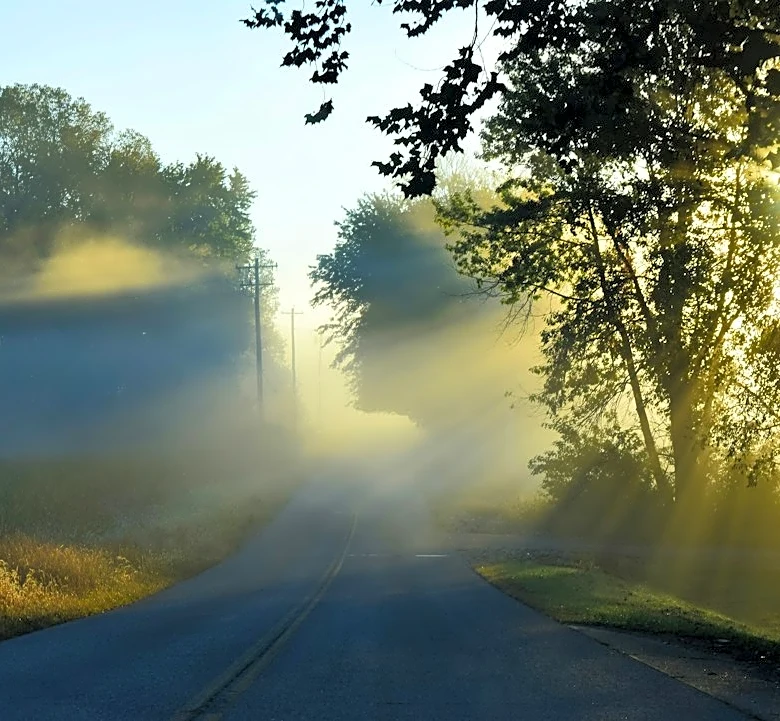 Dense Fog Advisory in Northwest Indiana This Morning