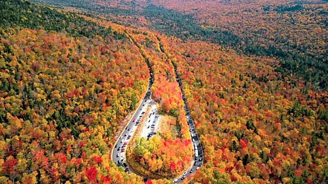 NH Fall Foliage Season Expected to Boost Tourism