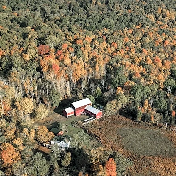 Hudson Valley Apple Orchards Face Weather Challenges