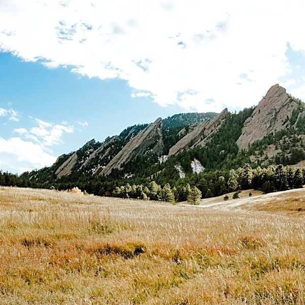 Boulder Wildfire Risk Eases After Summer Rain