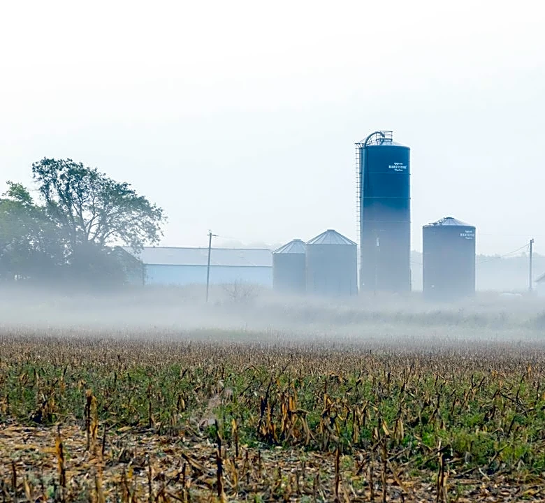 Understanding Missouri's Planting Calendar and Frost Dates